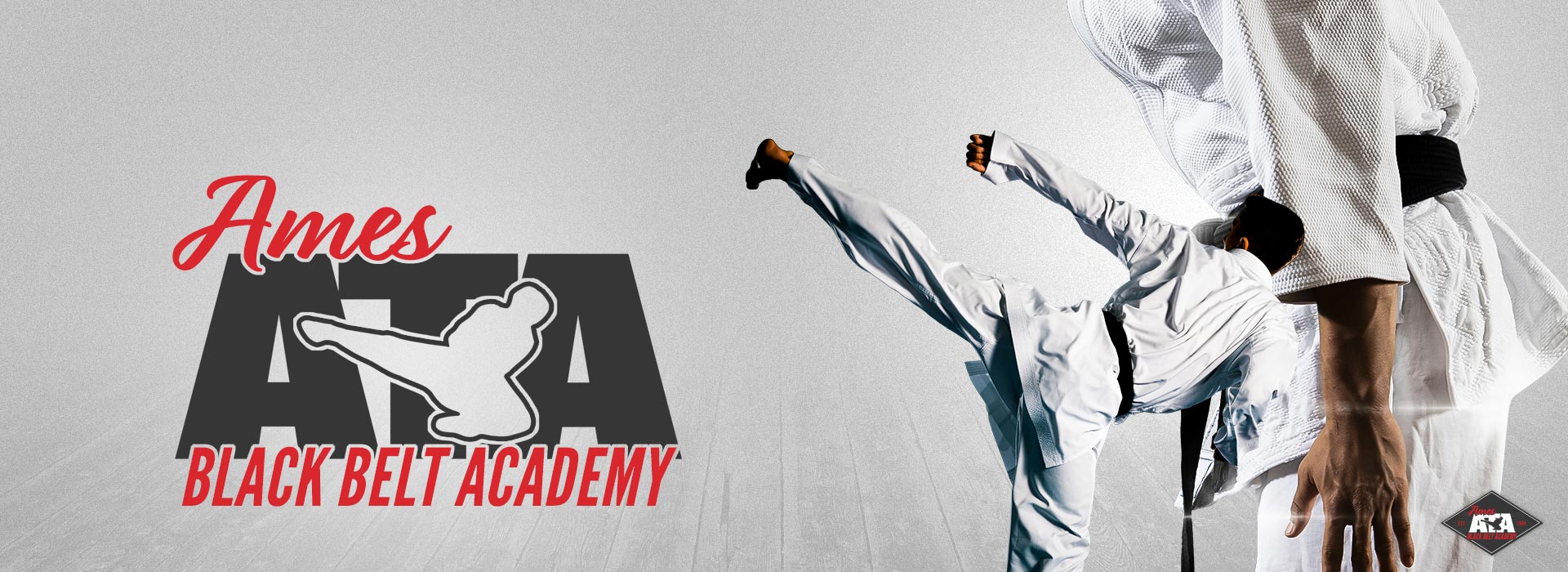Ata black belt academy hotsell